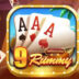 Rummy Zoo Download