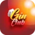 Rummy Gin Club