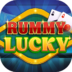 Rummy Lucky Apk