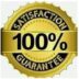 Satta 100